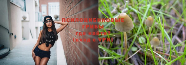 гашиш Белокуриха