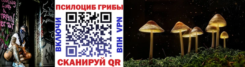 Купить  Елизово  Псилоцибиновые грибы GOLDEN TEACHER 